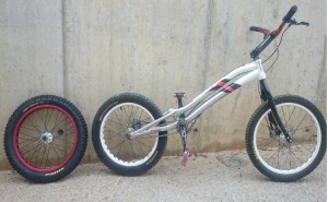 kamel3